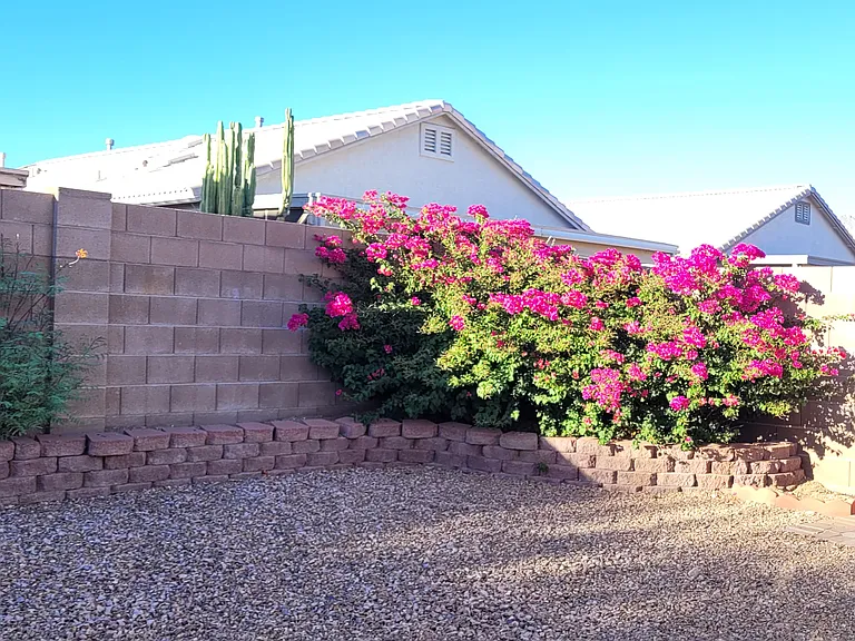 2645 W Cezanne Cir — Photo 18