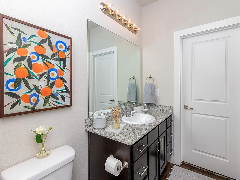 Townhomes at Bluebonnet Trail
