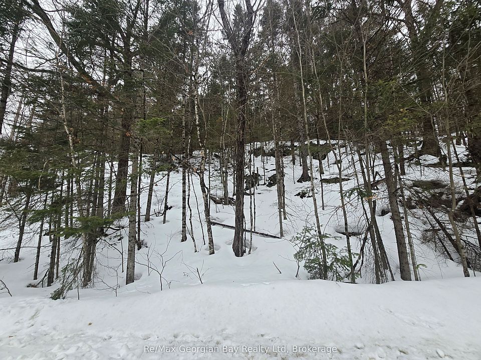 1st image of 107 Balsam Chutes Rd