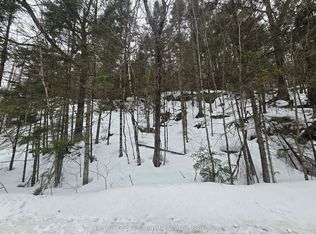 107 Balsam Chutes Rd, Huntsville, ON P0B1L0