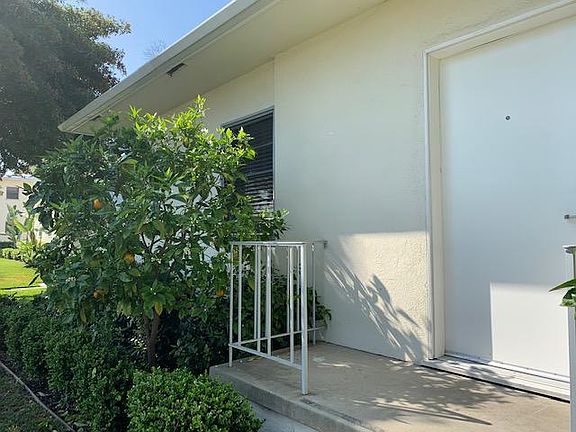 Orange tree right outside of the apartment!