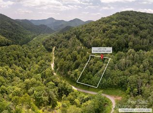 0 Puncheon Ln #174, Mars Hill, NC 28754