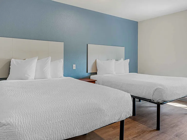 Studio Suite - 2 Full Beds