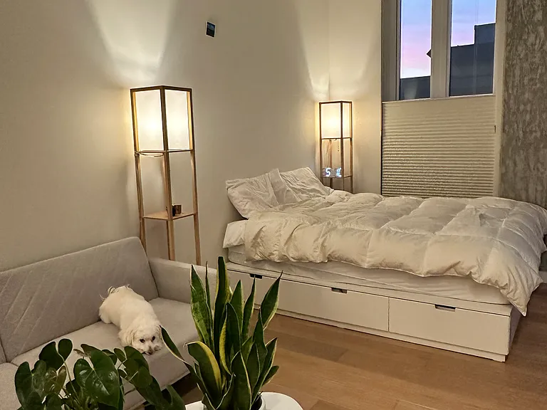 450 S Main St #613 — Photo 10