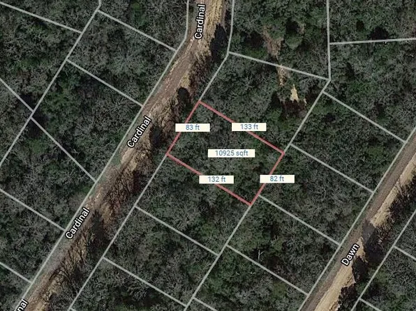 LOT 4 Cardinal, Normangee, TX 77871