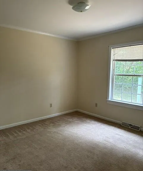 43985 Sandy Bottom Rd — Photo 5