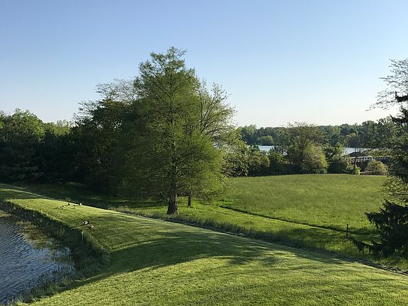 View of Madison Lake
