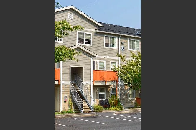 Springbrook Village — Photo 8