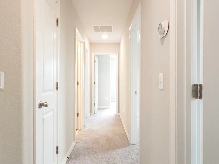 10207 Boggy Moss Dr — Photo 15
