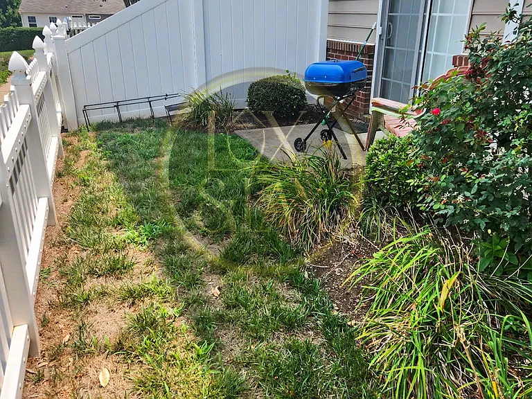 Front Yard + Patio