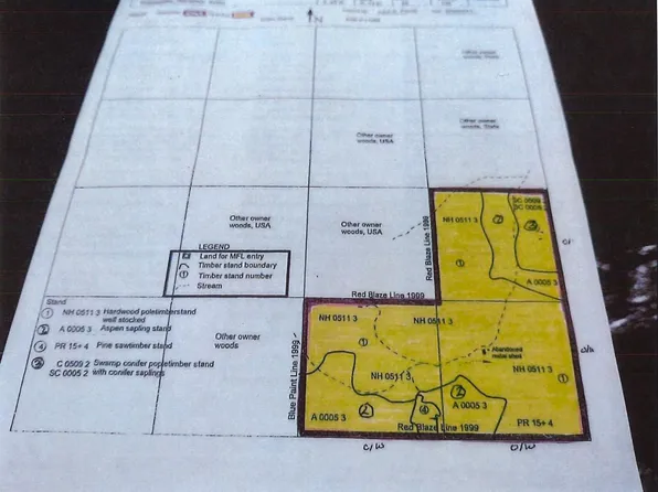 Off Holford Road Acres #120, Long Lake, WI 54542