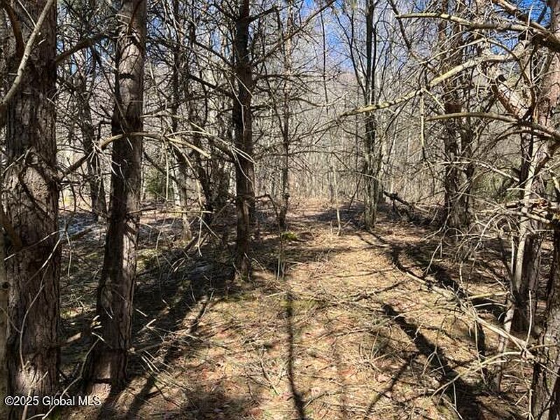3rd image of L1.13 Off Rossman Fly Road