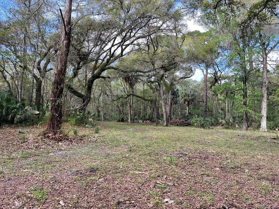 1st image of 9909 W Deepwoods Dr