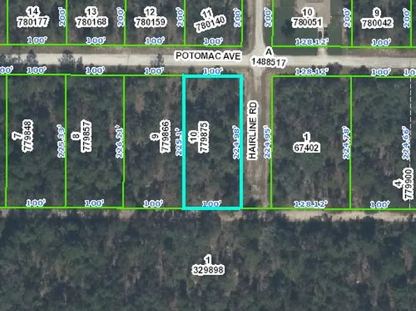 Potomac Ave, Weeki Wachee, FL 34614