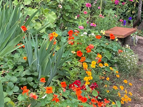 A small garden bench is nice for summer sitting. And other times as well.