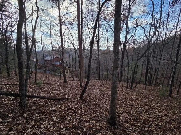 7 Fish Camp Way, Mineral Bluff, GA 30559