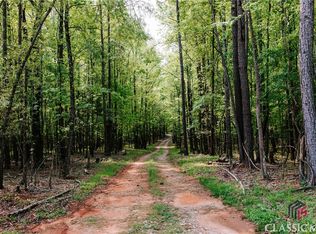 160 G W Bray Rd, Winterville, GA 30683