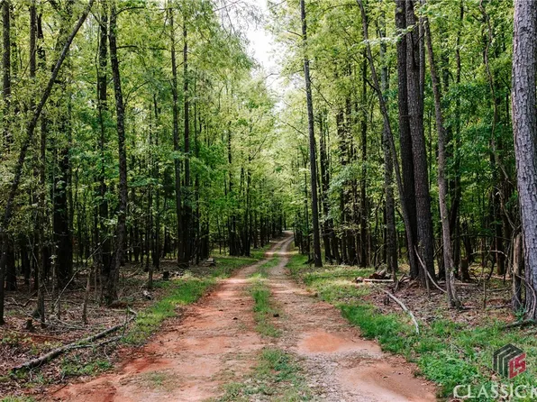 160 G W Bray Road, Winterville, GA 30683