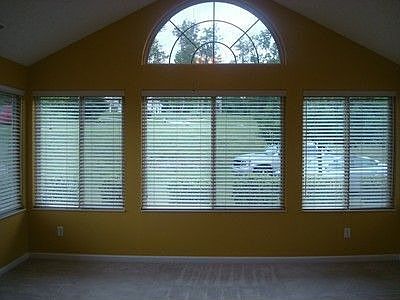 4th image of 77 Amberside Dr
