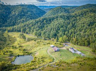 555 Little Pumpkin Valley, Eidson, TN 37731