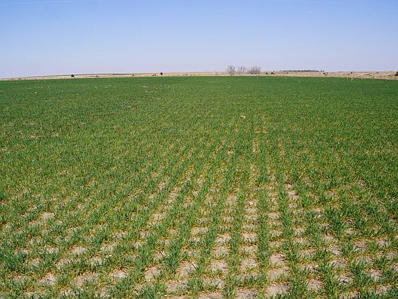 3rd image of 0 Highway 25a