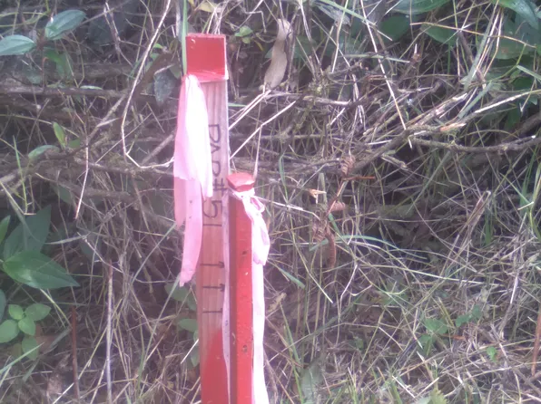 Mikana St Lot 31, Mountain View, HI 96771