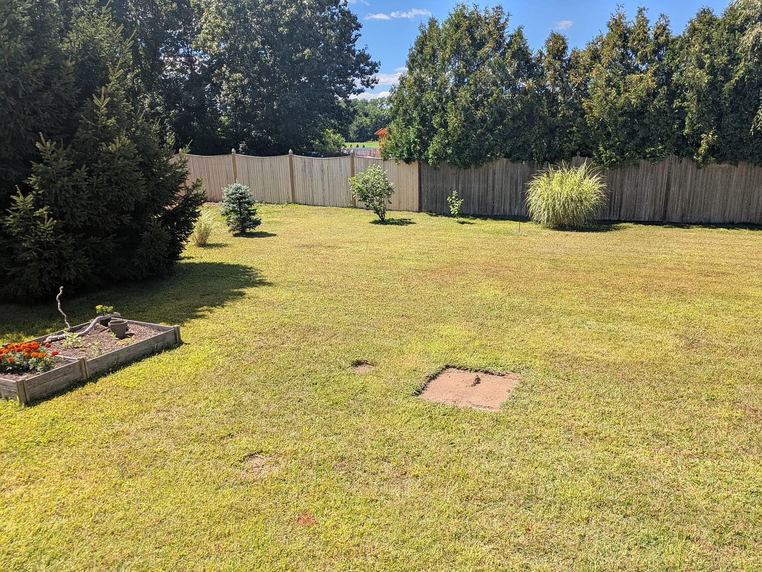 2 bed, 1.5 bath, 864 sqft, $1,700 — Photo 3