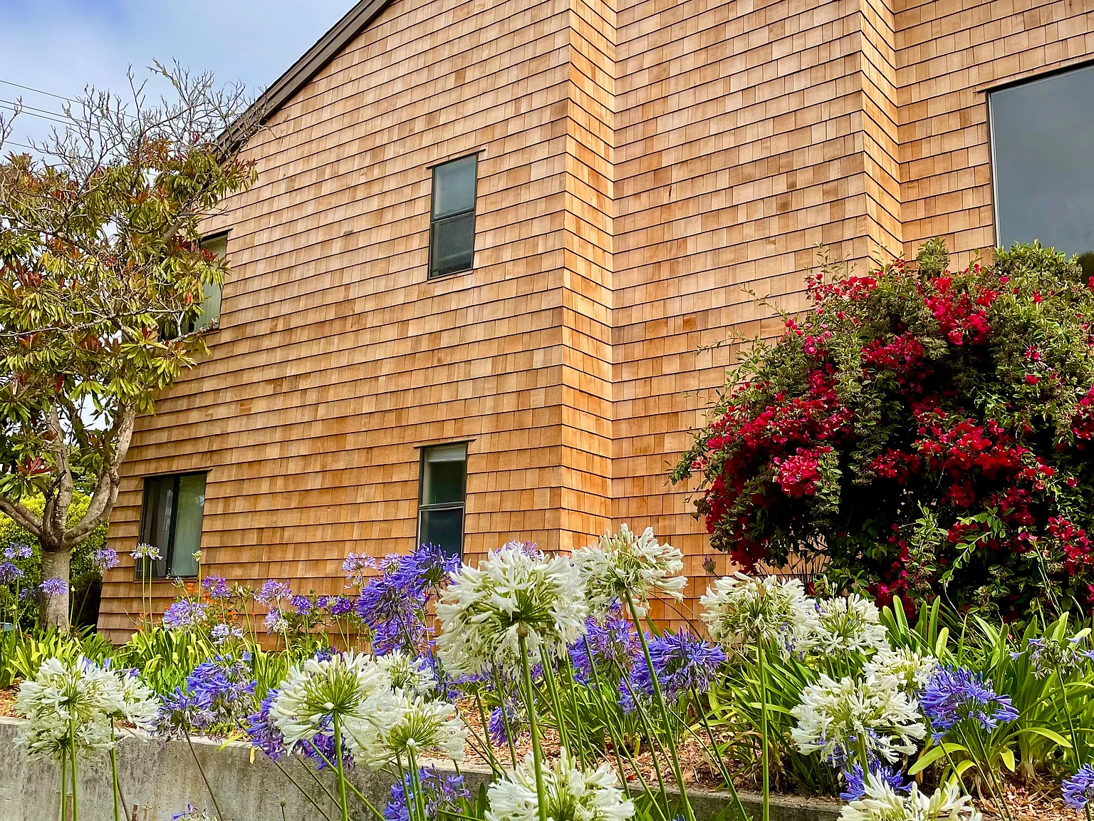Capitola Terrace Apartments — Photo 3