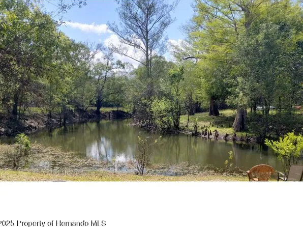 3237 Tiger St, Dade City, FL 33523