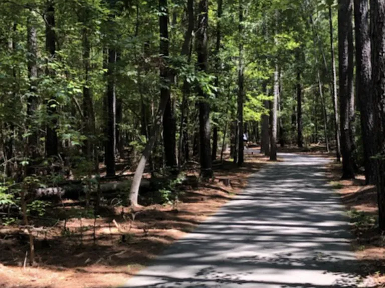 Near by Hiking Trail