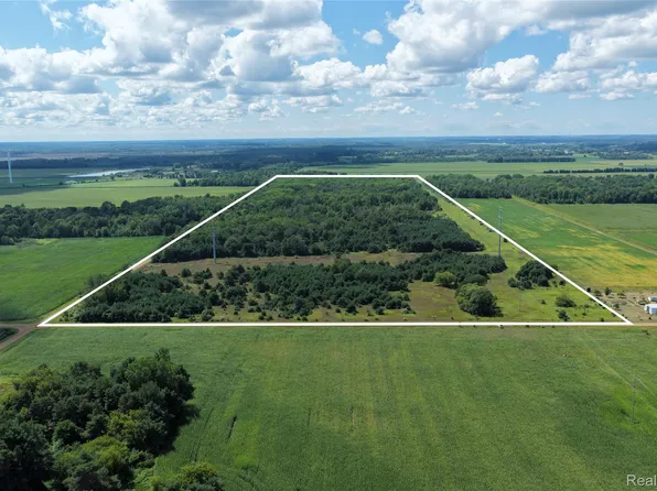 0 Parisville Rd, Minden City, MI 48456