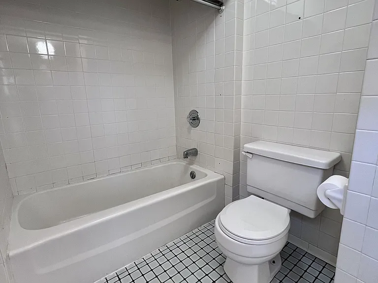 Upstairs master bathroom (continued)