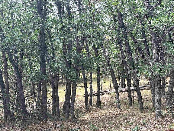 5th image of 257 E Arbol Park Drive