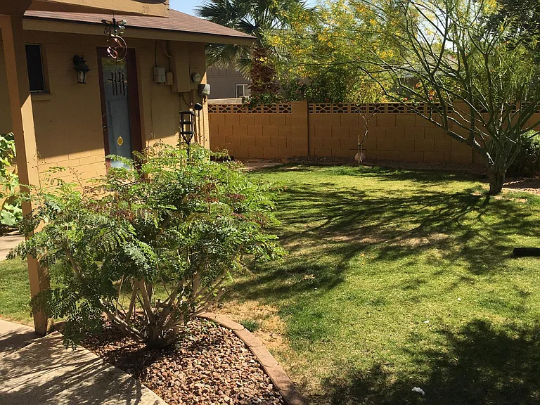 Backyard 2