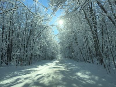 Whippoorwill Lane #Lot 15, Hayward, WI, 54843