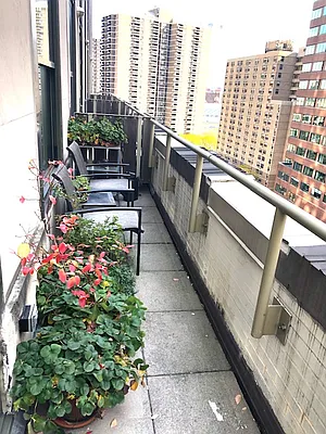 Rented by NY Living Solutions | media 43