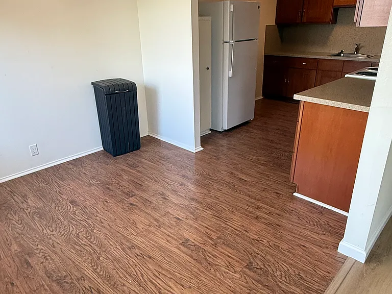 1010 Ashbury St #2 — Photo 6