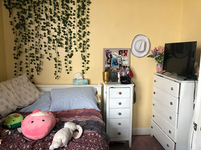 60 Egmont St #5 — Photo 7