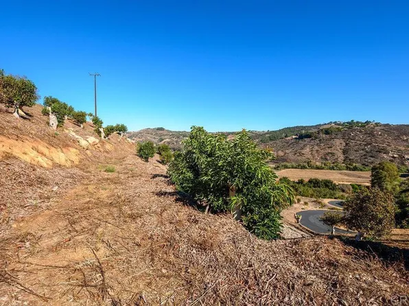 30580 Luis Rey Heights Rd, Bonsall, CA 92003