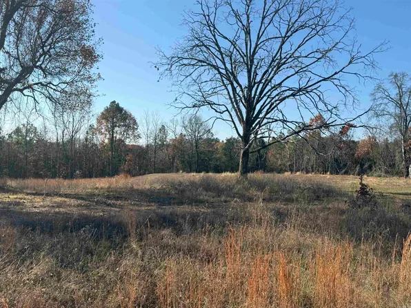 591 Bens Cir, Clinton, AR 72031