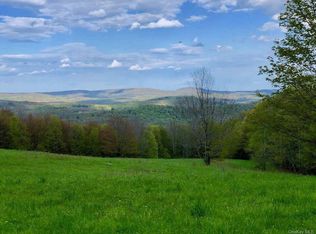 Yaun Rd, Youngsville, NY 12791