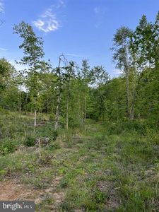 0 Smokey, Unionville, VA, 22567