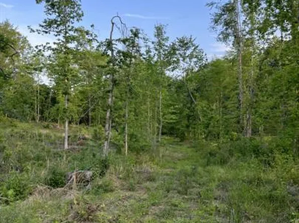 0 Smokey, Unionville, VA 22567