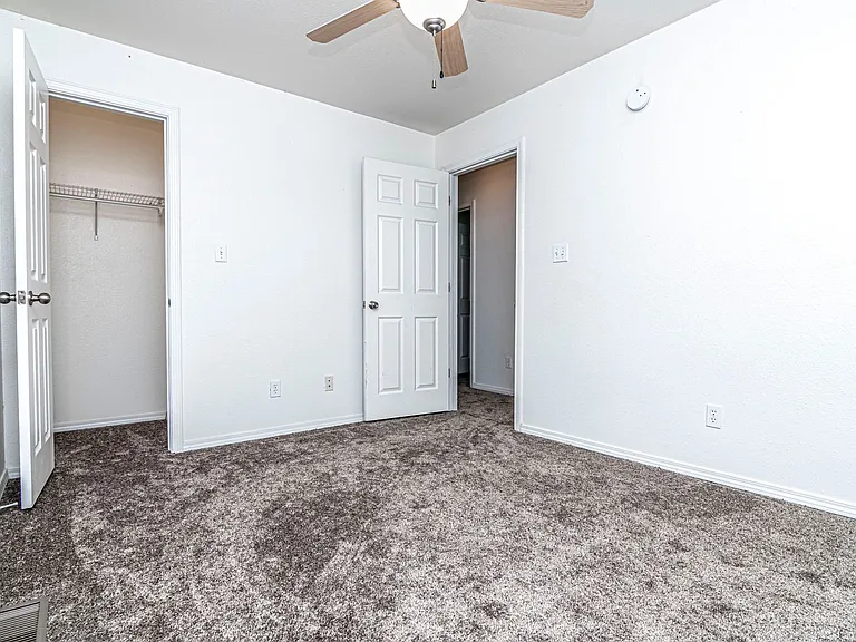 912 Whitetail Ct — Photo 38