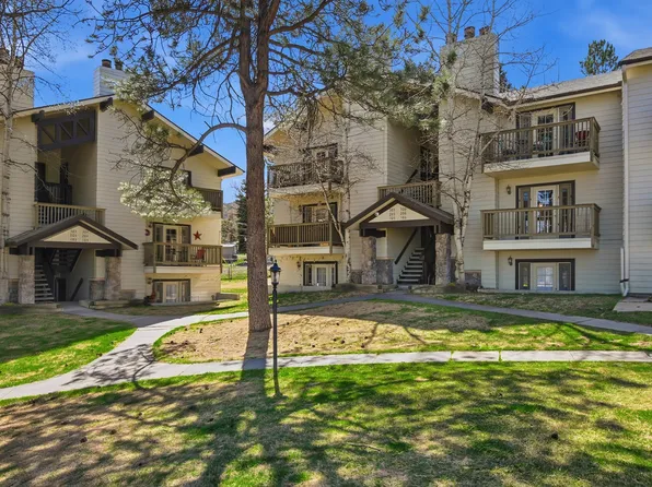 29656 Buffalo Park Rd APT 206, Evergreen, CO 80439