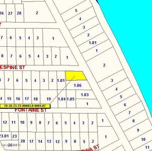 101 Delespine St, Melbourne Beach, FL, 32951