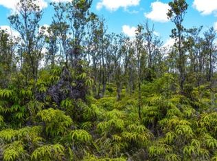 11 2282nd #66, Volcano, HI 96785