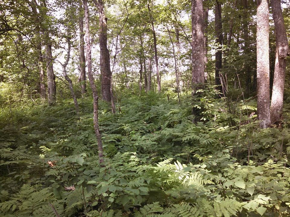 1st image of Xxx Bass Lake Lane McKinley Twp