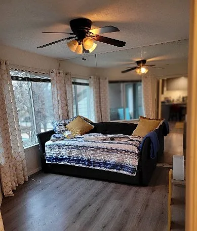 2304 Balsam Dr — Photo 4