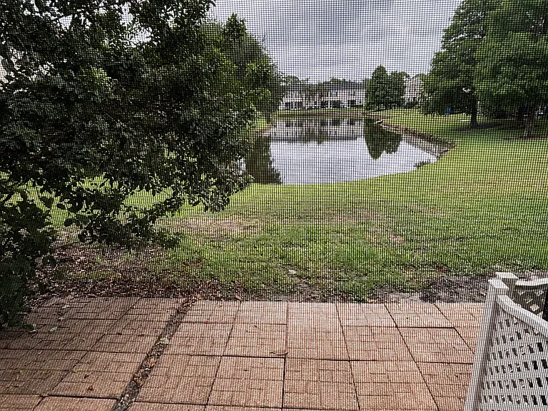 12203 Country White Cir — Photo 23